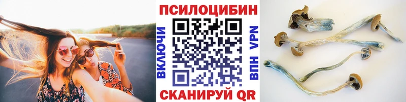 продажа наркотиков  Зеленогорск  Галлюциногенные грибы GOLDEN TEACHER 
